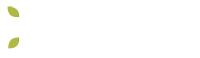 New Energies Africa